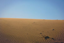 Medanos de Coro