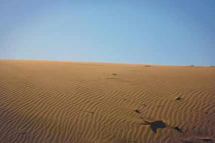 Medanos de Coro
