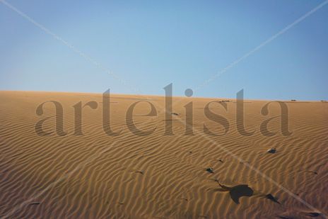 Medanos de Coro