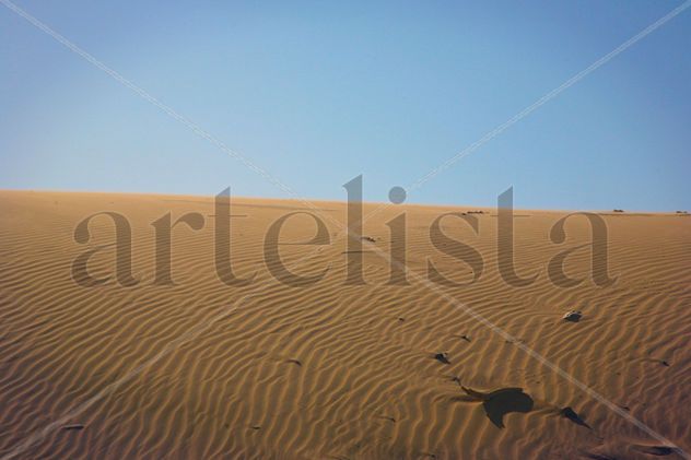Medanos de Coro