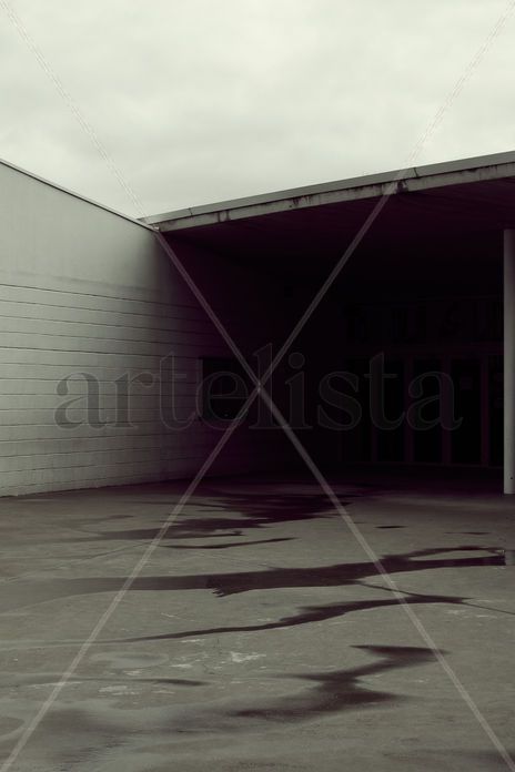Colegio