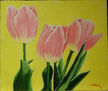 Tulipanes II