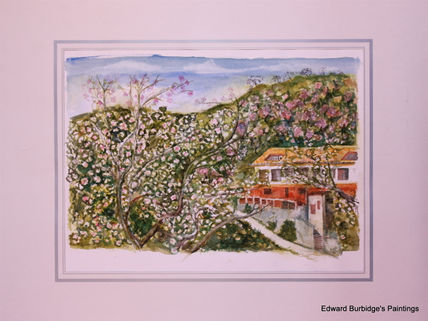 Almand Blossoms