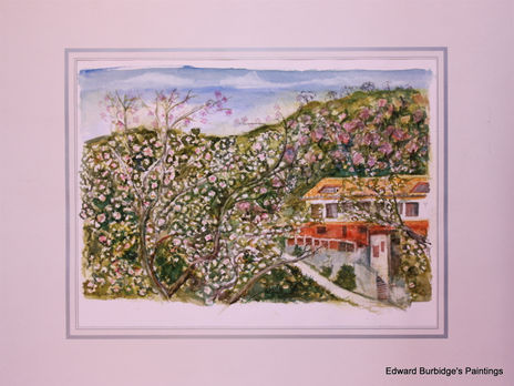 Almand Blossoms