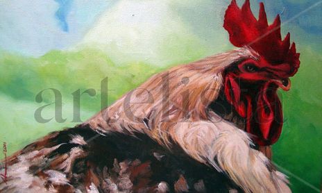 Animales
