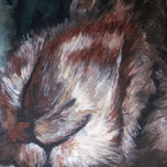 Animales thumbnail 1