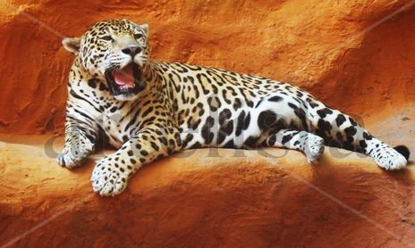 Naturaleza