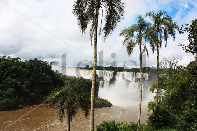 Cataratas Iguazu Travel Color (Digital)