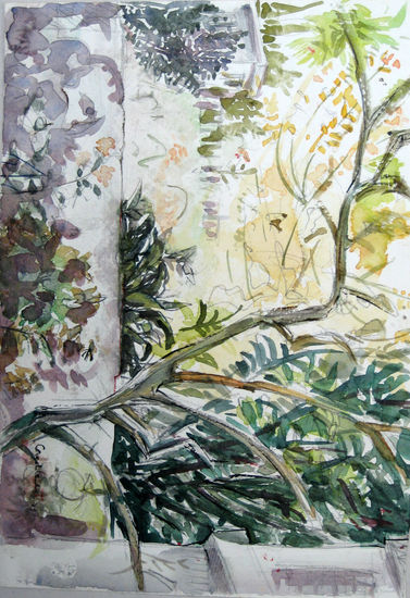 Limonero viejo Watercolour Paper Landscaping