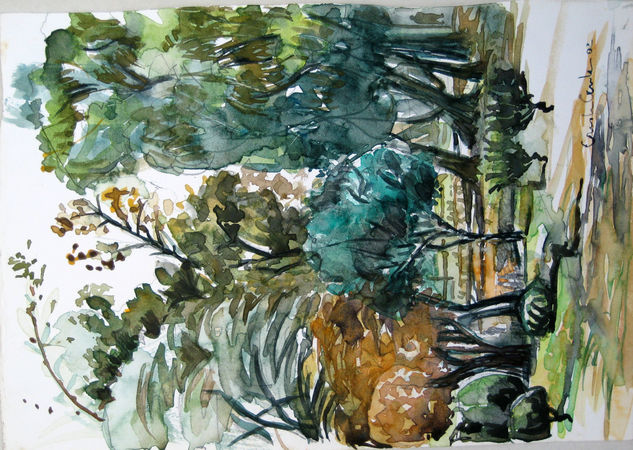 Plaza Alberdi trece Watercolour Paper Landscaping