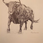 Tauromaquia thumbnail 1