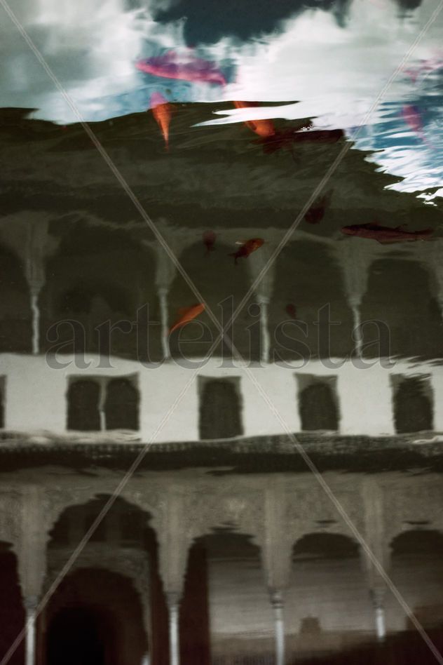 PECES DE ALHAMBRA