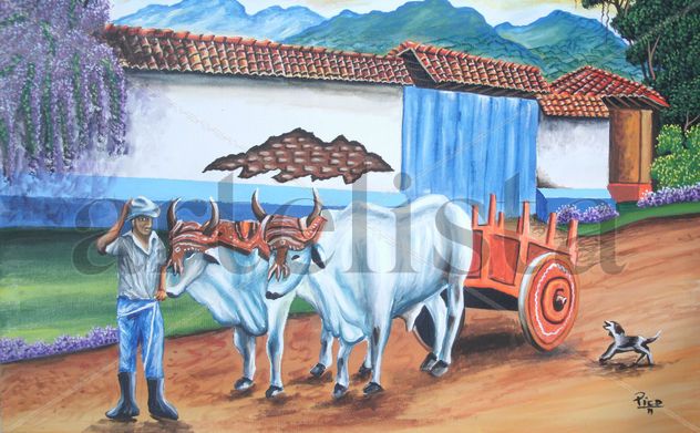 CARRETAS DE COSTA RICA.