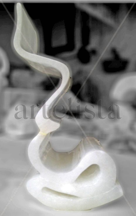 Contorno femenino