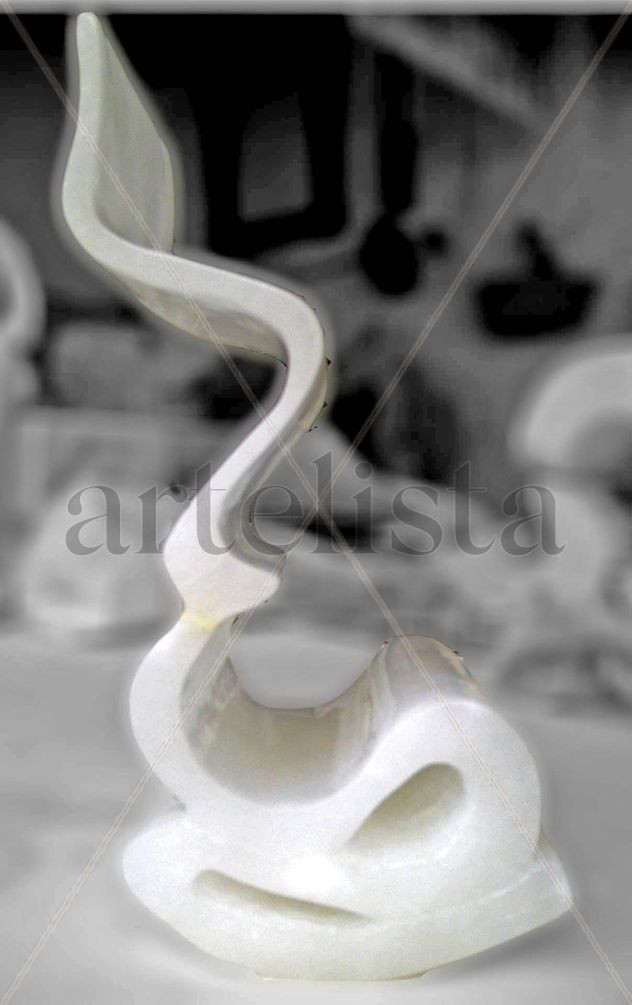 CONTORNO FEMENINO