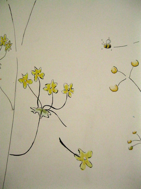 Mundo cuyis, flores...