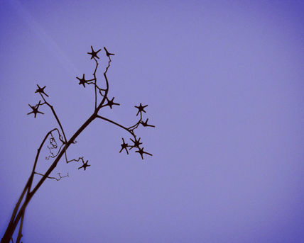 Bajo un cielo...
