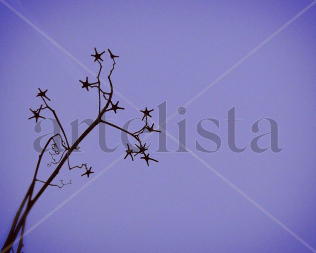 Bajo un cielo estrellado Conceptual/Abstract Color (Digital)