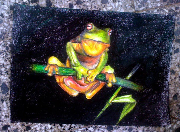 frog Pastel Papel Animales