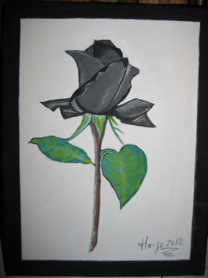 Rosa, negra, fondo,...