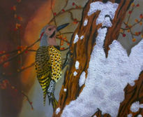 Northern Flicker