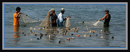 La pesca