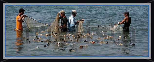 La pesca