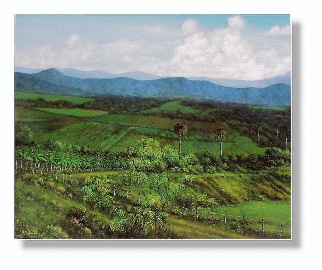 Valle de los Ingenios Acrylic Canvas Landscaping