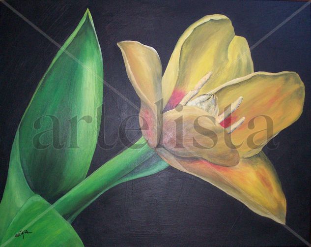 Tulipán abierto Acrylic Canvas Floral Painting