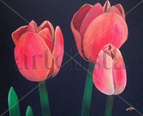 Tulipanes