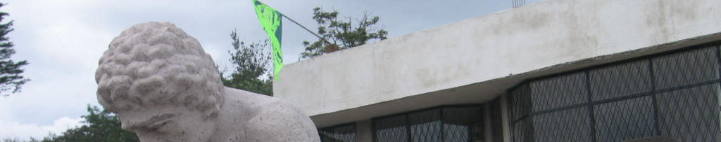 Imagen de portada