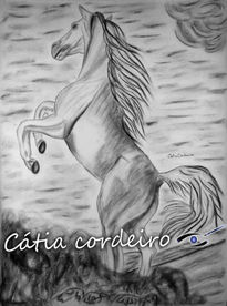 Cavalo 1