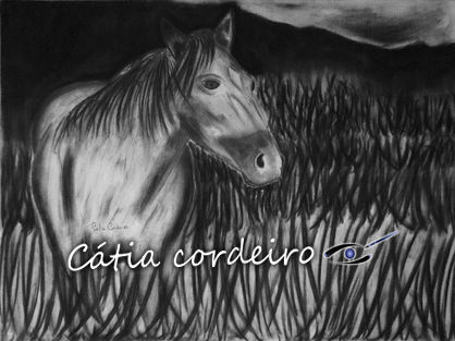 cavalo 4 Others Canvas Animals