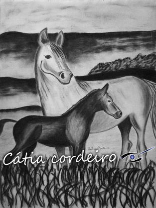 cavalo 5