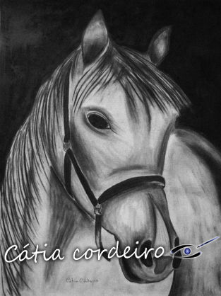 cavalo 9 Otros Lienzo Animales