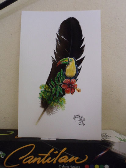 tucan en pluma Acrílico Otros Animales