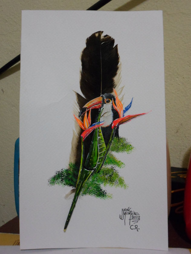 tucan