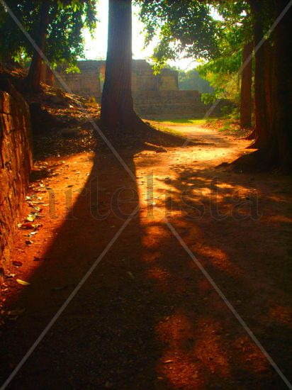 Las Sombras del Camino Naturaleza Técnicas alternativas