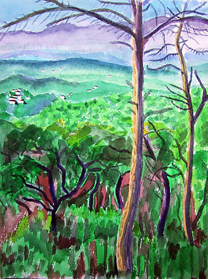 Paisaje con monte bajo en Montseny Acuarela Papel Paisaje