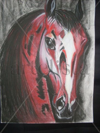 Caballo árabe Charcoal