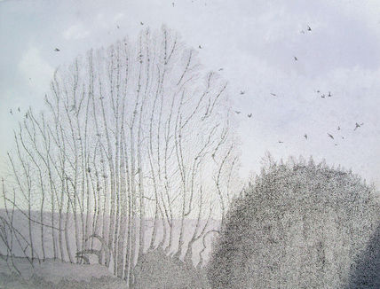 'The Rook Tree &...