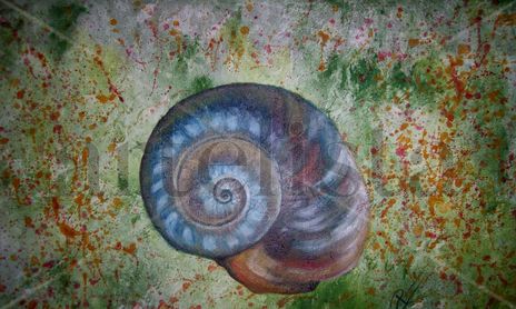 Instantes en Espiral