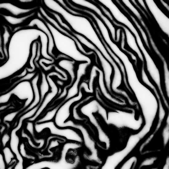 The maze Conceptual/Abstract Black and White (Digital)