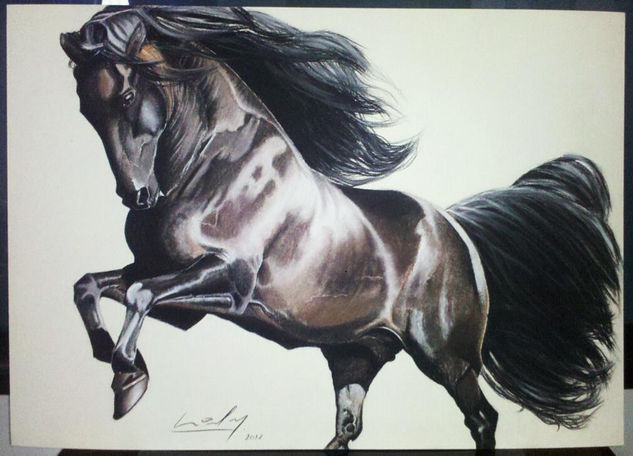 caballo.trote Pastel Papel Animales