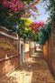 Sevilla-Callejón del Agua