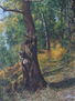 arbol