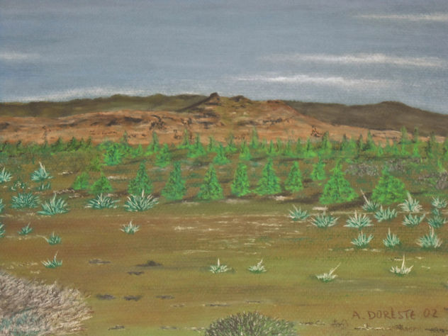 Pinares próximos a la Presa de las Niñas