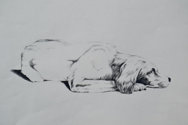 Perro Graphite Paper Animals