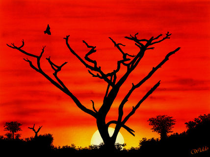 Atardecer
