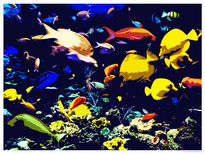 Peces tropicales